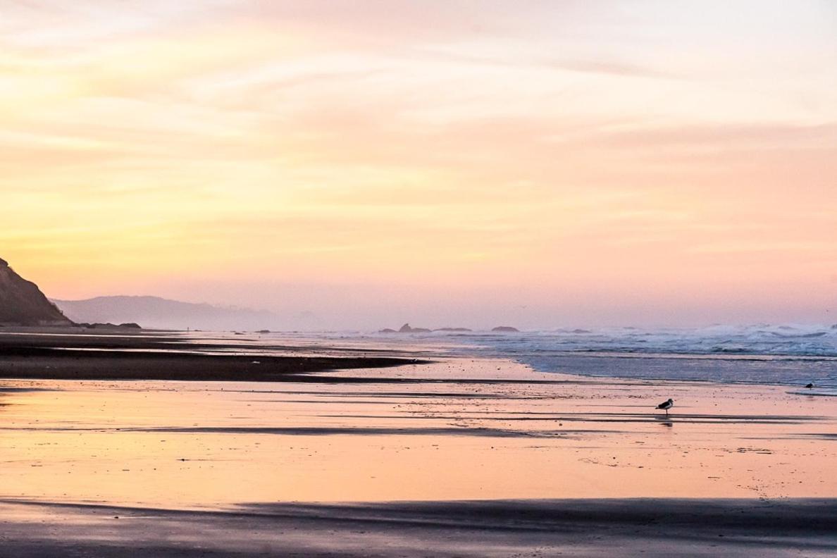 New Listing! Bay-View Beauty With Private Balcony Condo Lincoln City Exteriör bild